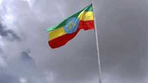 L'Éthiopie bloque l'aide humanitaire au Tigré depuis la mi-juillet 2021, affirme l’OMS