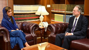 پاکستان میں ترکی کے سفیر مہمت پاچاجی کی وزیر مملکت برائے خارجہ امور حنا ربانی کھر  سے ملاقات