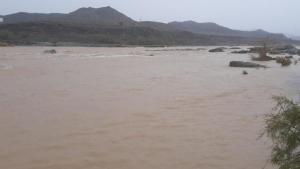 伊朗暴雨引发洪水 导致农田受损