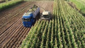 رئیس انجمن تولیدکنندگان بذر: توقف تجارت ترکیه با اسرائیل هیچ تاثیر منفی بر کشور نخواهد داشت