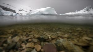 کاهش میزان یخ دریا در قطب جنوب مایه نگرانی است