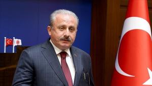 Mustafa Şentop : "La présence turque en Thrace occidentale est un fait indéniable"