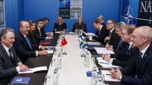 چاووش‌اوغلو با وزرای امور خارجه فنلاند و سوئد دیدار کرد