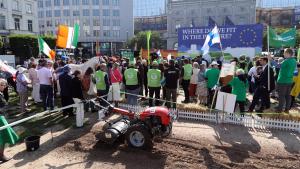 比利时农民抗议欧盟的自然恢复计划