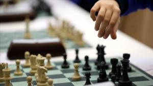 土耳其国际象棋棋手赢得28枚奖牌