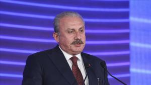 رئیس مجلس ملی کبیر ترکیه وارد مجارستان شد