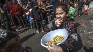加沙饥荒风险日益加剧