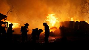 آتش سوزی جنگلی در شیلی