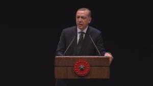 Erdogan: “Tenemos una responsabilidad histórica en Mosul”