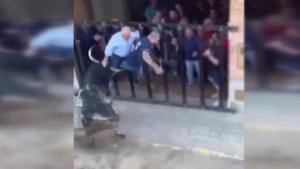 کشته شدن یک نفر بر اثر حمله گاو در اسپانیا