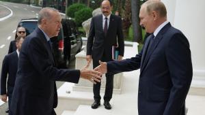 Turkiya Prezidenti Erdo‘g‘an Sochiga tashrif buyurdi