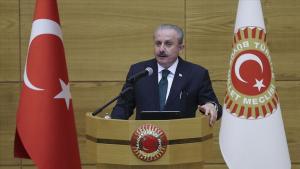 تبریک رئیس مجلس ترکیه به نخست وزیر ترک قبرس شمالی