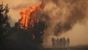 Ελλάδα: Αυξημένος κίνδυνος πυρκαγιάς μέχρι τις 21 Ιουνίου