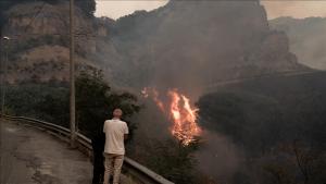 Oltre mille persone evacuate a causa dell'incendio boschivo scoppiato in Puglia