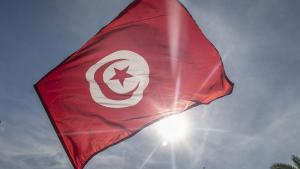 突尼斯两架轻型飞机坠毁致2名法国游客丧生