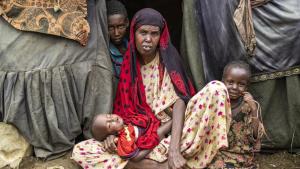Sudanda açlıqtan ülän aşıylar