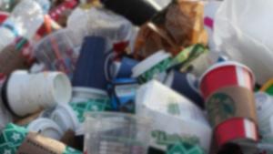 Unele ambalaje din plastic de unică folosință vor fi interzise în UE