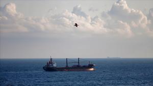 زلنسکی: در چارچوب توافق‌نامه کریدور غلات تا کنون حدود 500 کشتی بنادر اوکراین را ترک کرده‌اند
