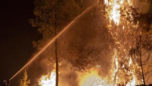 西班牙森林大火继续蔓延