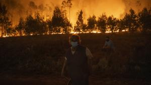 Incêndios florestais em Portugal: 7 mortos e 65 focos ativos