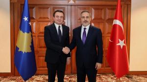 外交部长菲丹会见科索沃总理阿尔宾·库尔蒂