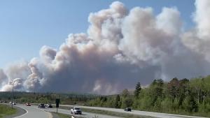 آتش‌سوزی جنگلی در شهر هالیفاکس کانادا