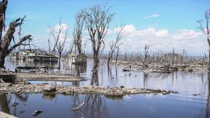 巴西洪灾死亡人数升致107人