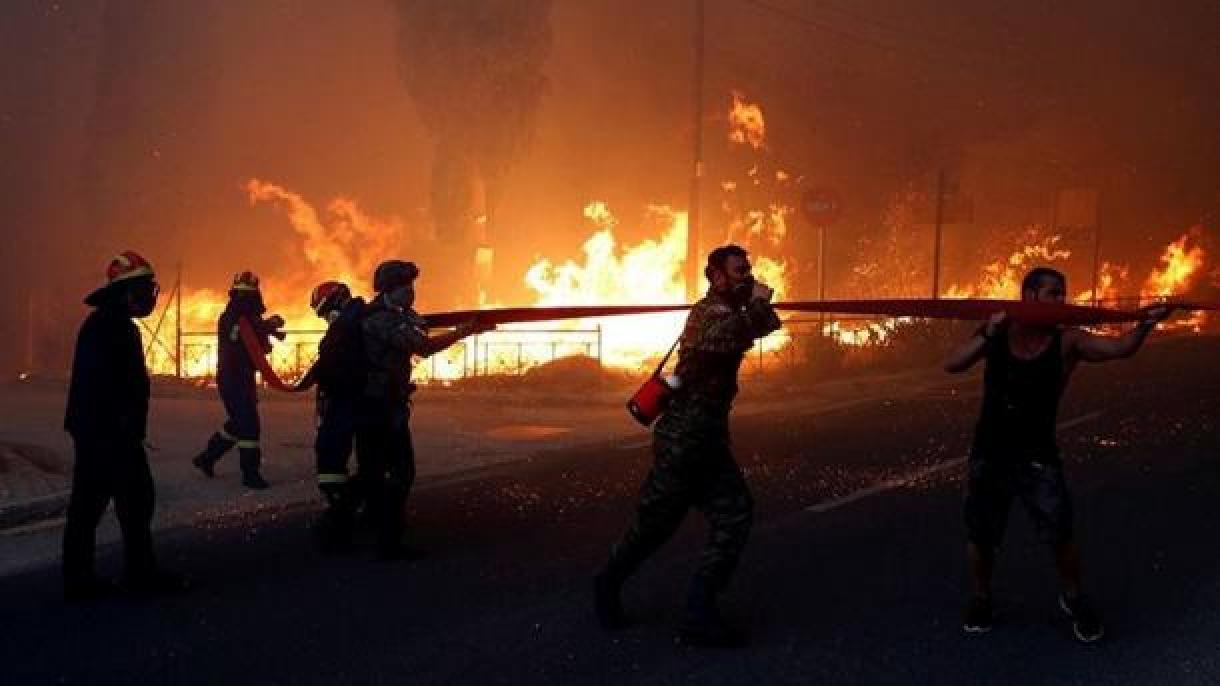 Governo sérvio decidiu ajudar a Grécia com 200 mil euros após os incêndios devastadores