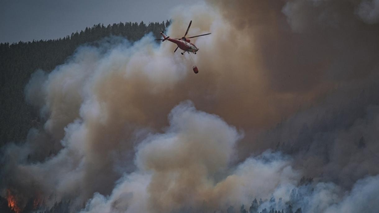 طی سه هفته، 20 هزار هکتار از زمینهای اسپانیا در آتش‌سوزیهای جنگلی سوخت