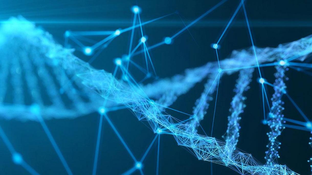 ll genoma umano è stato finalmente completamente mappato
