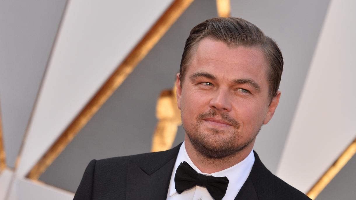Leonardo DiCaprio küzd a disznódelfinekért