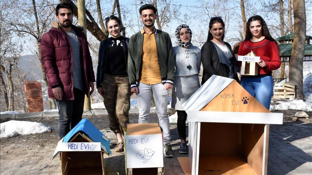 دانشجویان ترک با ضایعات برای حیوانات خیابانی لانه می‌سازند