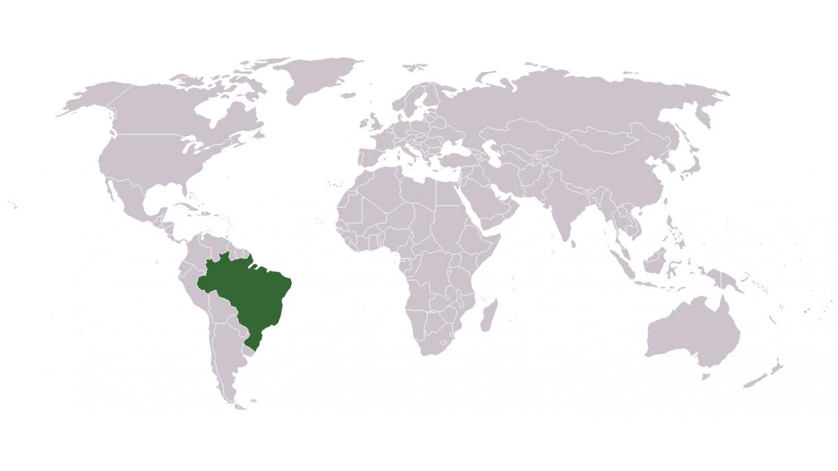 Braziliyada sarı qızdırma nəticəsində həlak olanların sayı 47-yə çatıb