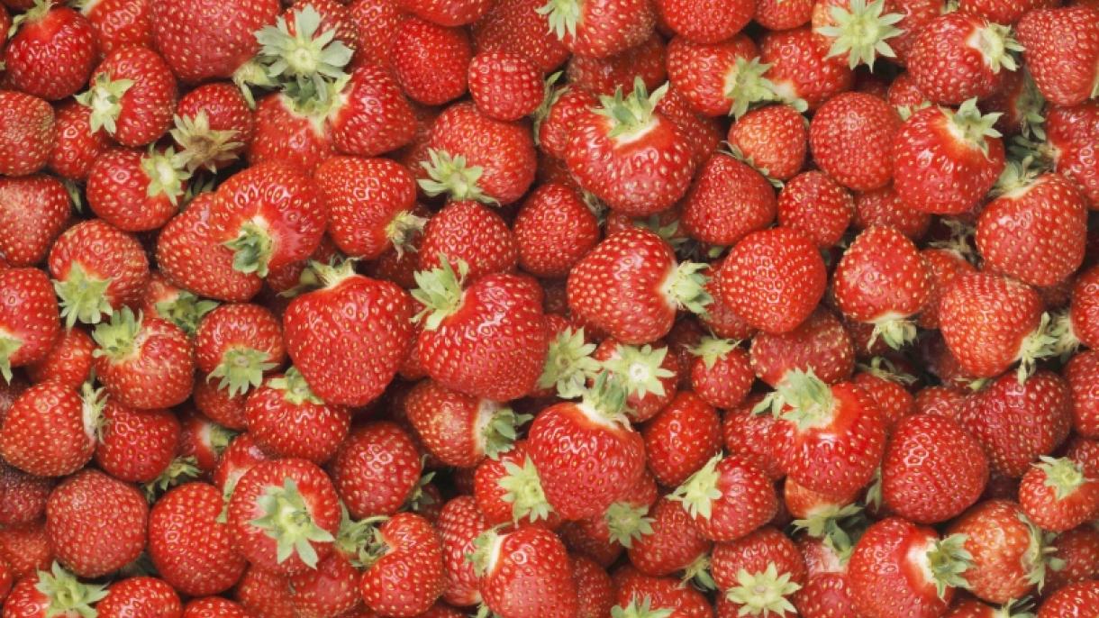 El 81% de los antioxidantes de la fresa residen en sus pepitas