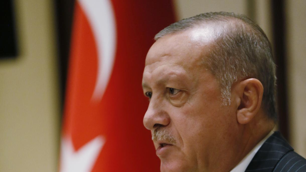 Erdoğan recibió a los representantes de las organizaciones no gubernamentales en Berlín