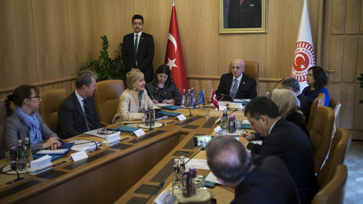 دیدار رئیس مجلس ترکیه با وزیر خارجه اوکراین