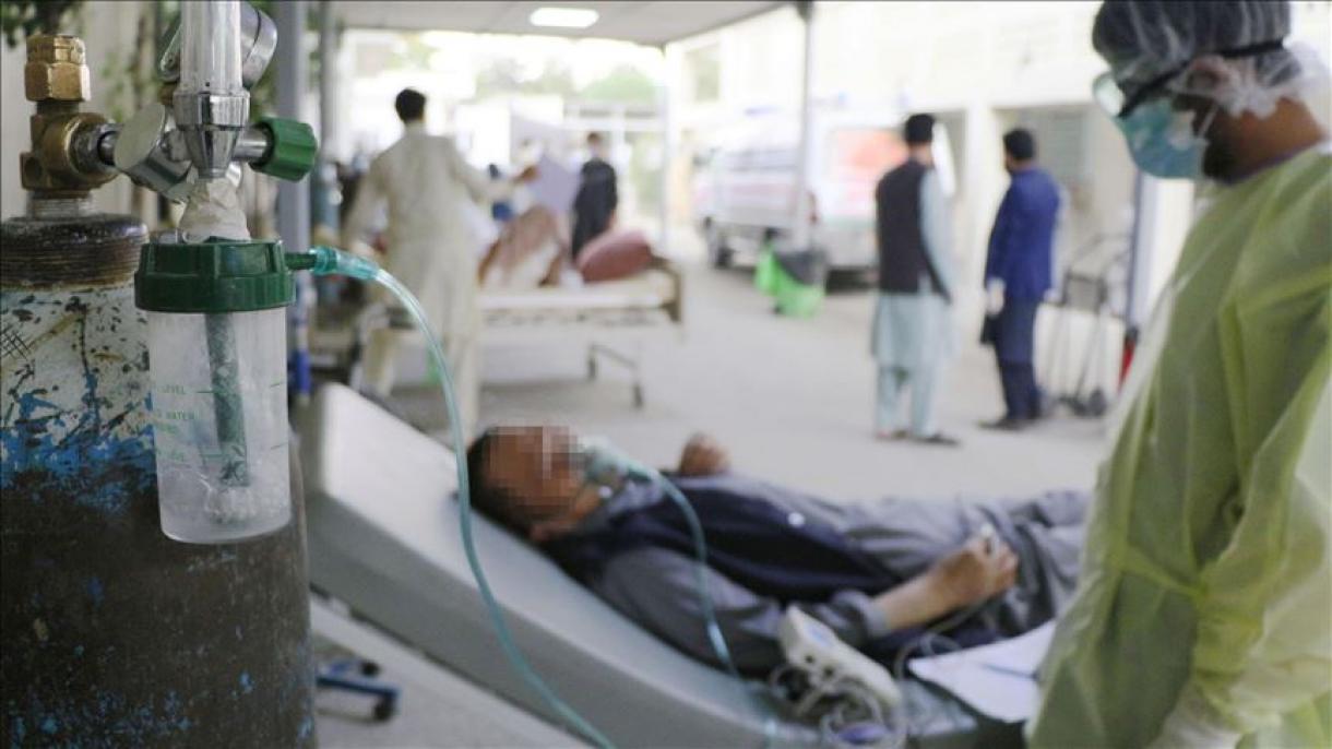 تعداد موارد تایید شده کرونا در افغانستان 282.5 فیصد افزایش یافت