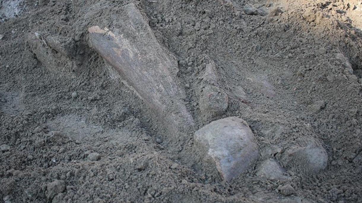Turquia: encontrados em Amasya ossos que se acredita pertencerem a mamutes