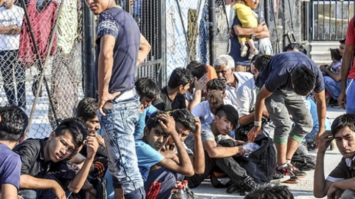 در ترکیه باز مهاجرین قاچاق افغانی دستگیر شدند