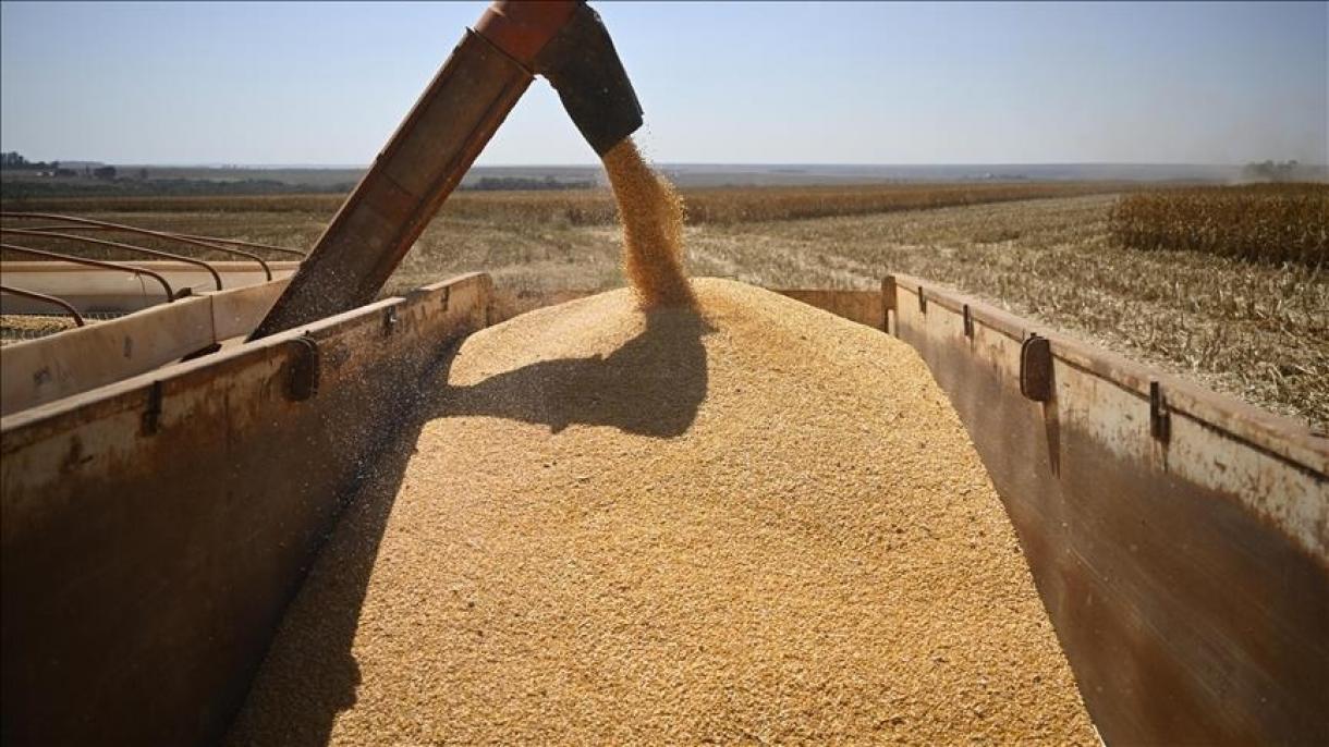 ONU, Türkiye, Rusia y Ucrania se reunirán la próxima semana para reactivar acuerdo de granos