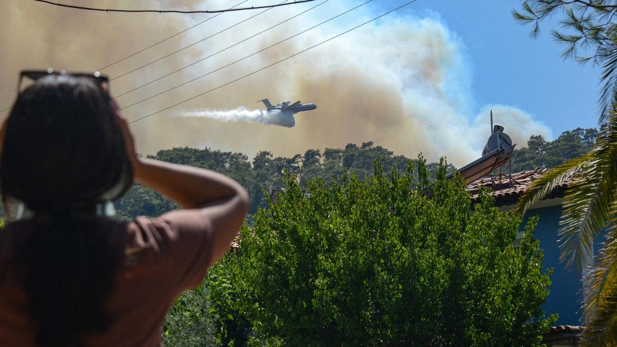 Erdogan: "196 de 208 incendios forestales en 44 provincias están bajo control"