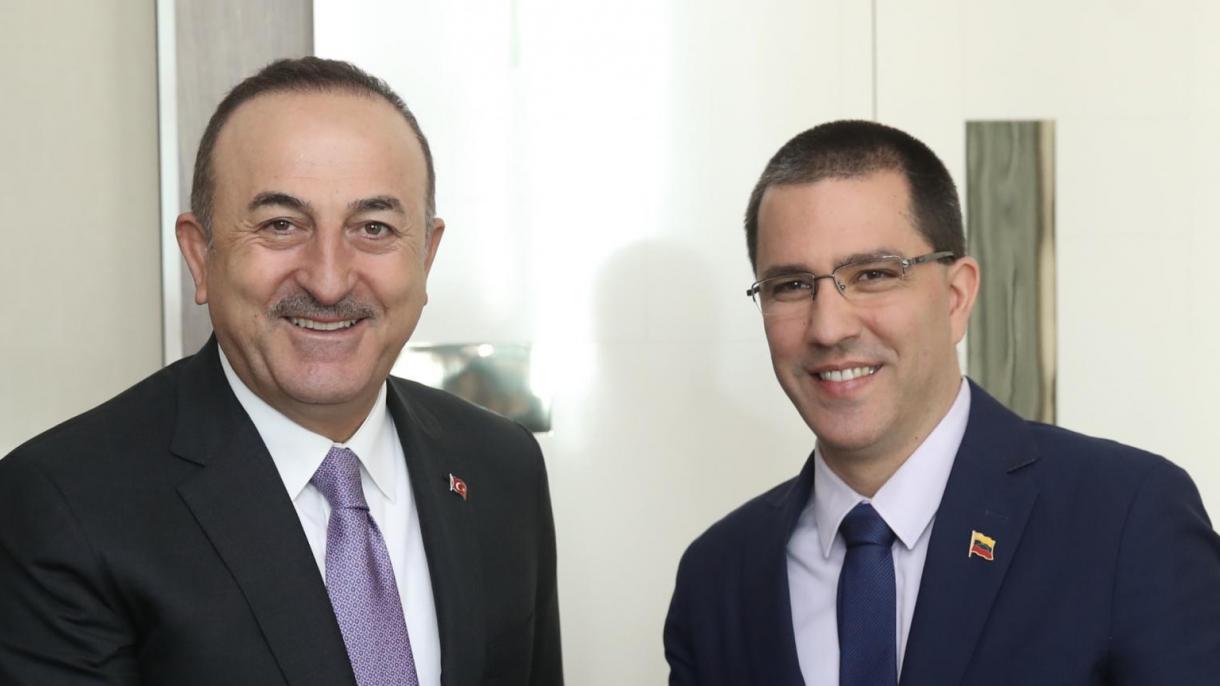 cavusoglu-Jorge Arreaza.jpg