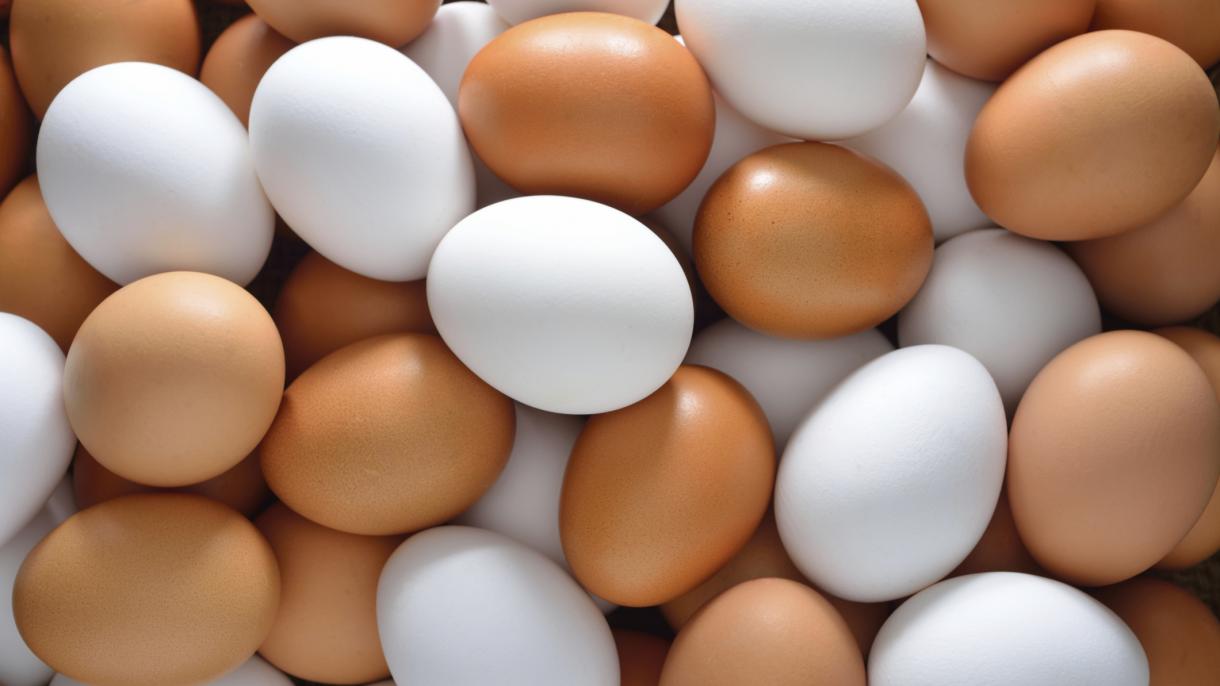 土耳其今年鸡蛋出口打破10年记录
