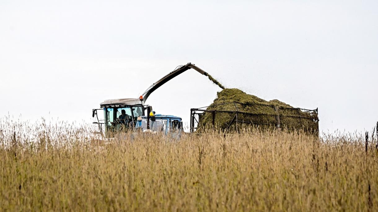 Los EEUU ha advertido a Rusia sobre la crisis de granos