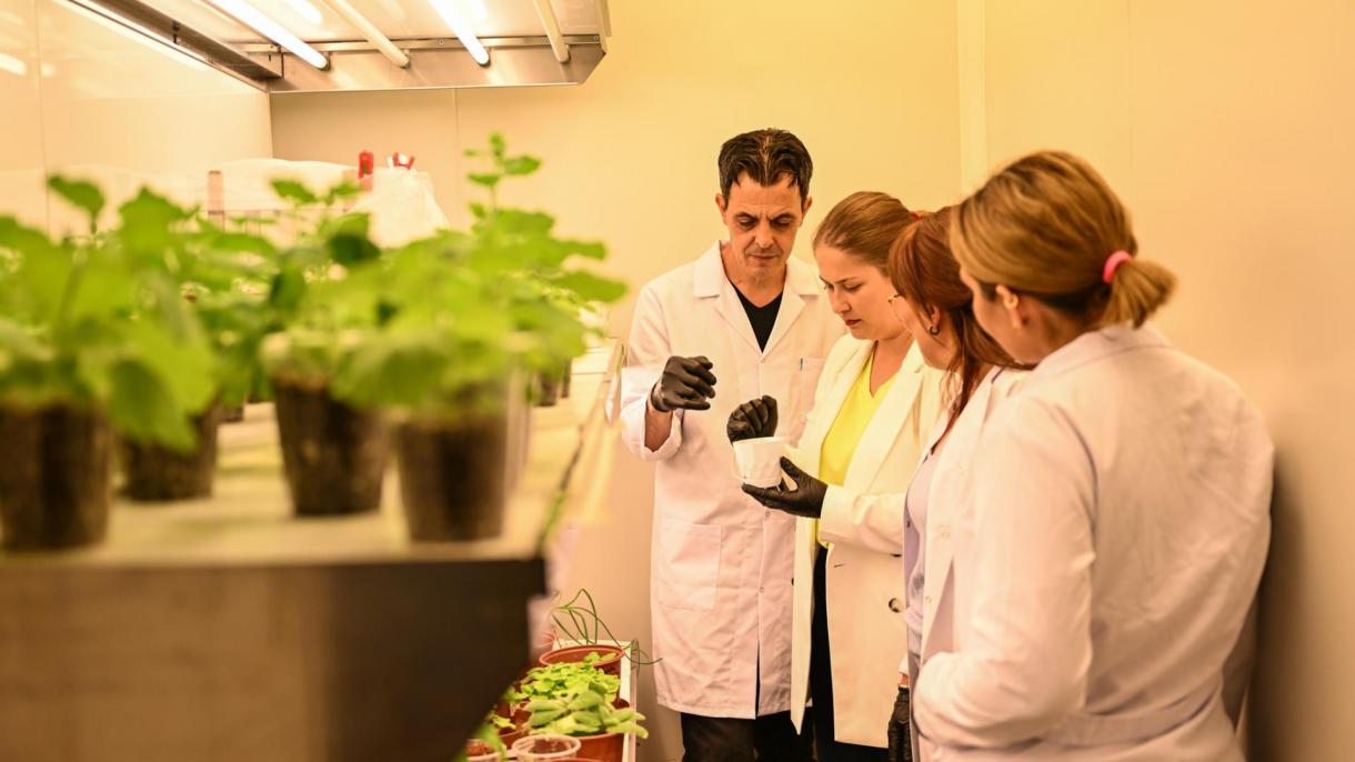 Los científicos turcos cultivarán plantas en el espacio para crear un ecosistema con oxígeno