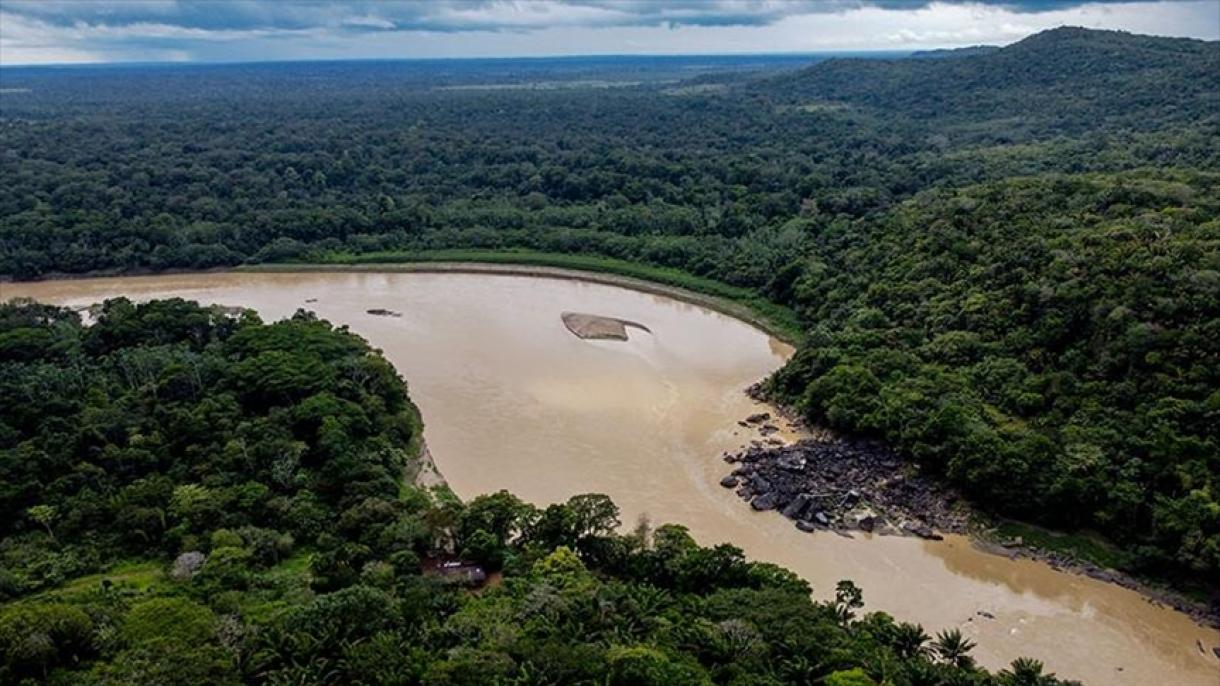Francia destinará EUR 5,72 millones para fortalecer protección de la Amazonía en Colombia y Ecuador