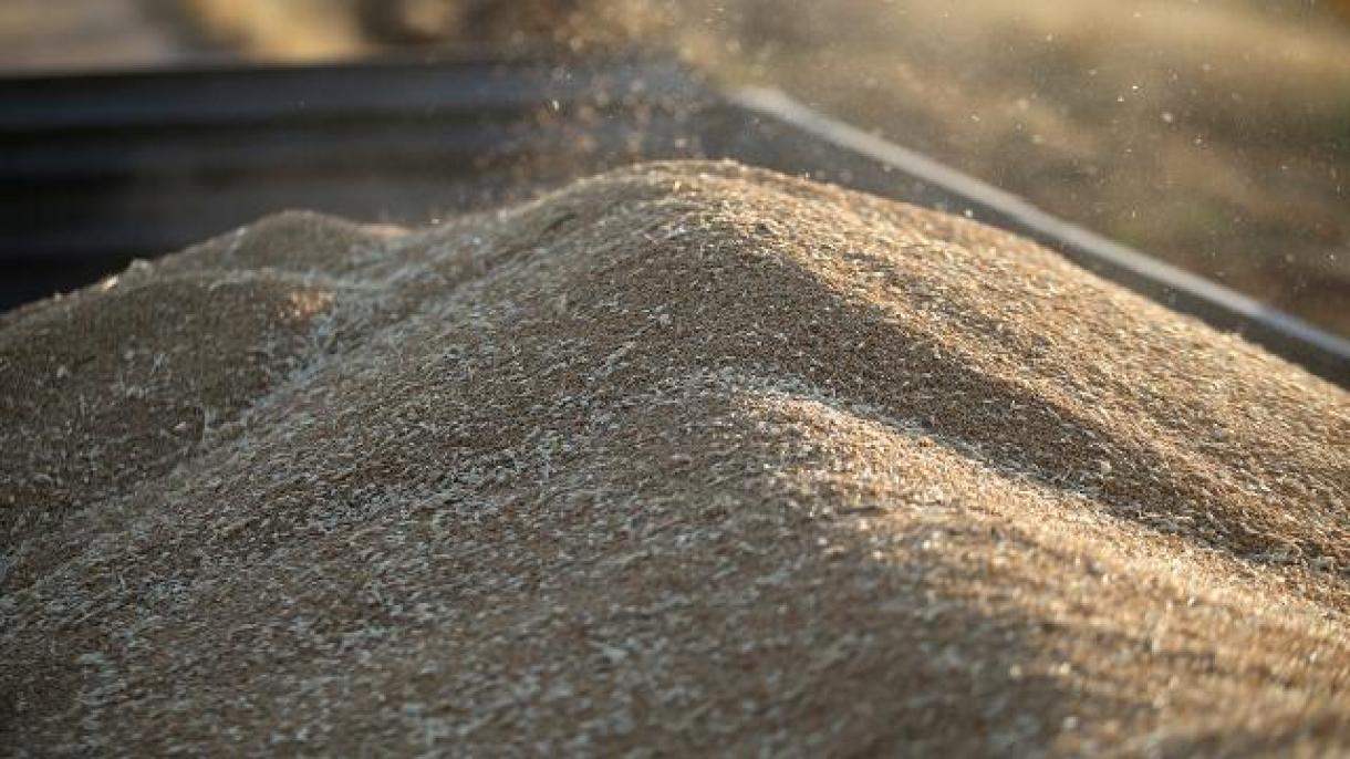Rusia exportará cereales solo a países amigos