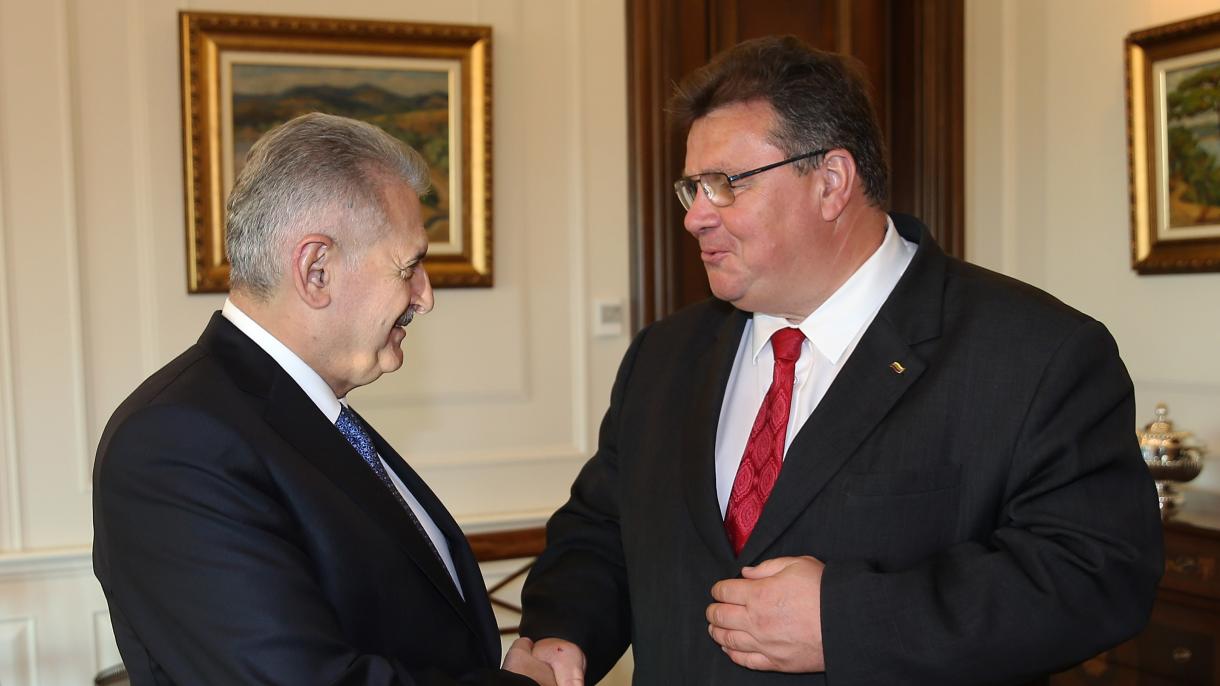 بینالی یلدیریم وزیر امور خارجه لیتوانی را بحضور پذیرفت