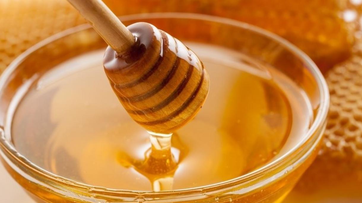 صادرات قابل توجه عسل ترکیه