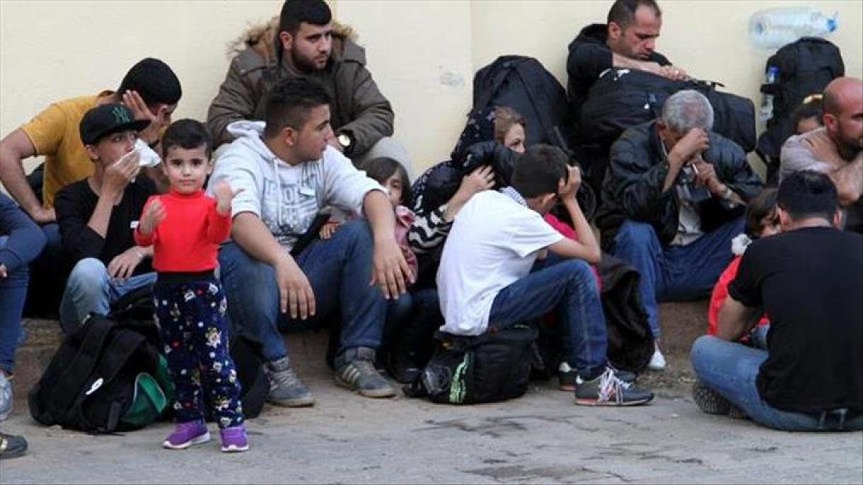 بیش از 80 مهاجر غیرقانونی در ترکیه دستگیر شدند